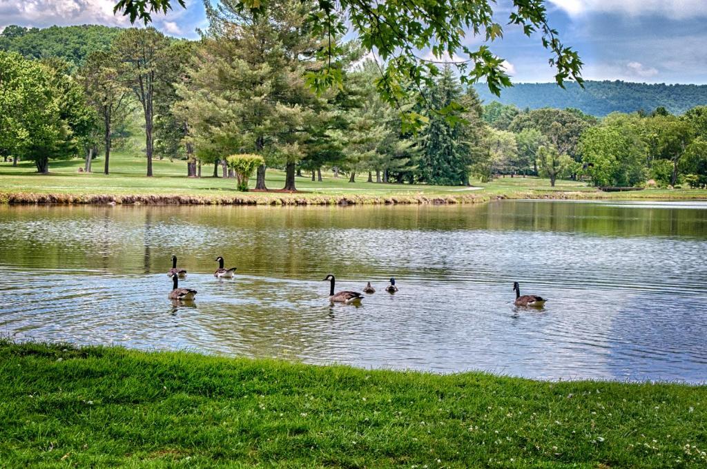 Etowah Valley Golf & Resort Buitenkant foto